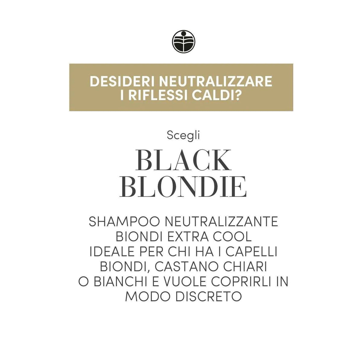 Black Blondie Hair Shampoo 250ml